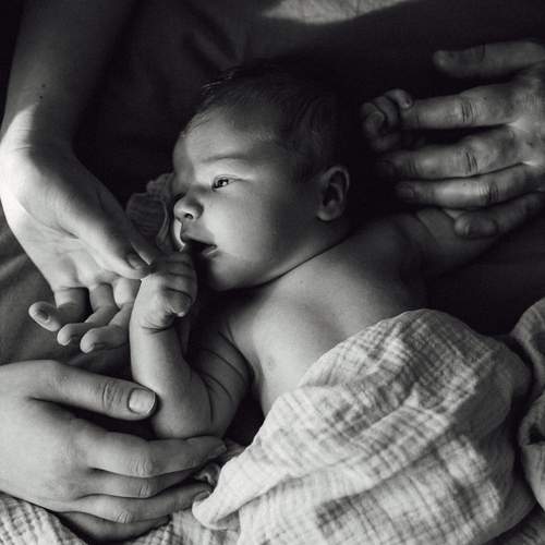 Photo #13510639