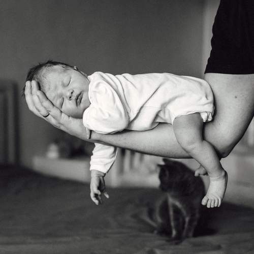 Photo #13510656
