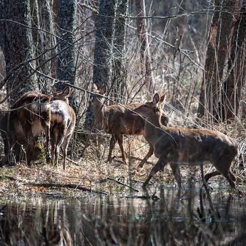 Photo #13510674