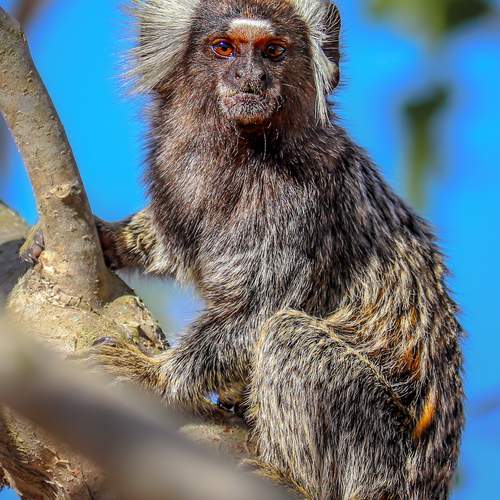 Photo #13510716