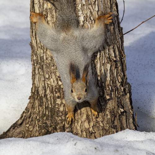 Photo #13510837