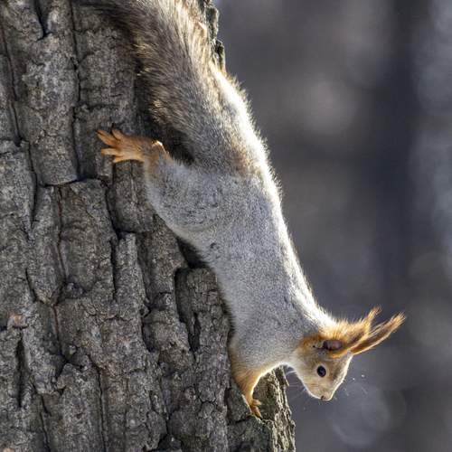 Photo #13510838