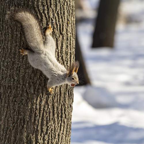 Photo #13510839