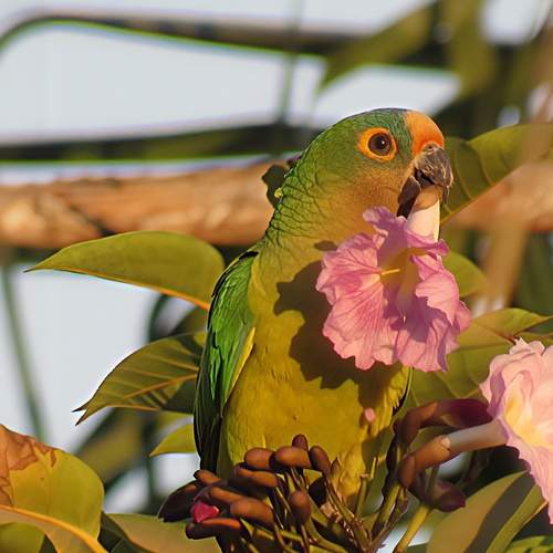 Photo #13510977