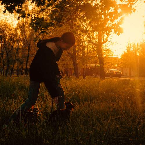 Photo #13510986