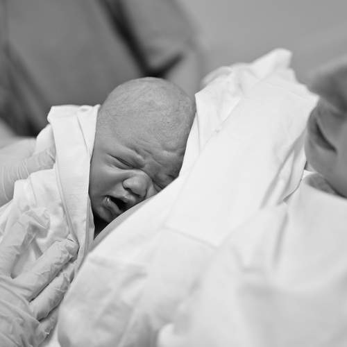 Photo #13511032