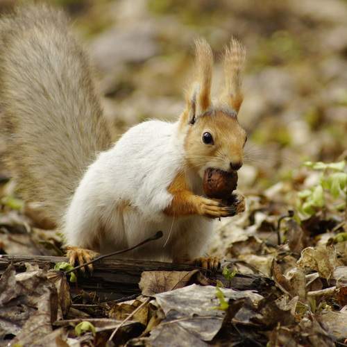 Photo #13511247