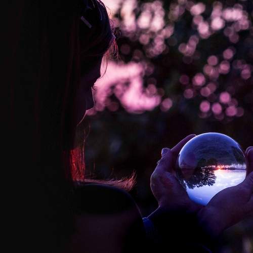 Photo #13511262
