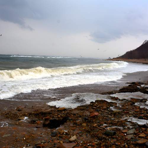 Photo #13511478
