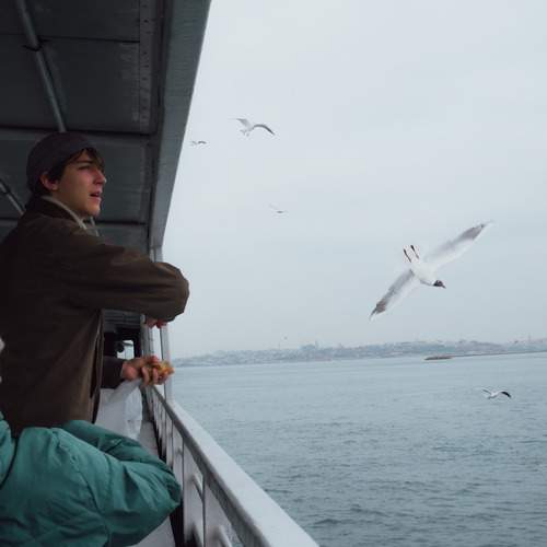 Photo #13511501