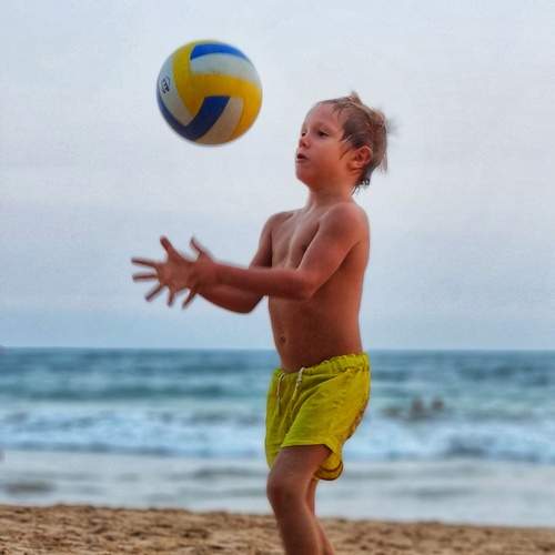 Photo #13511503