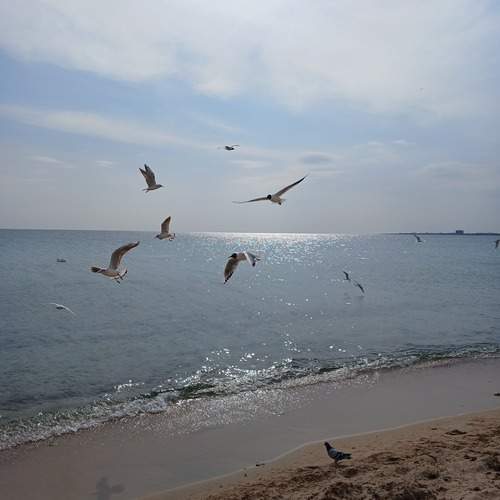 Photo #13511603