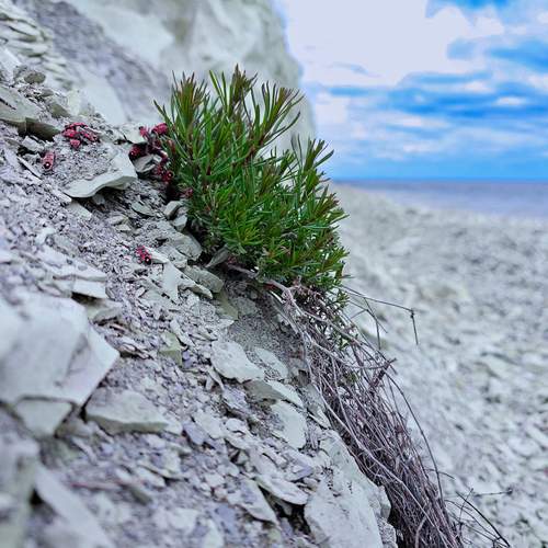 Photo #13511696