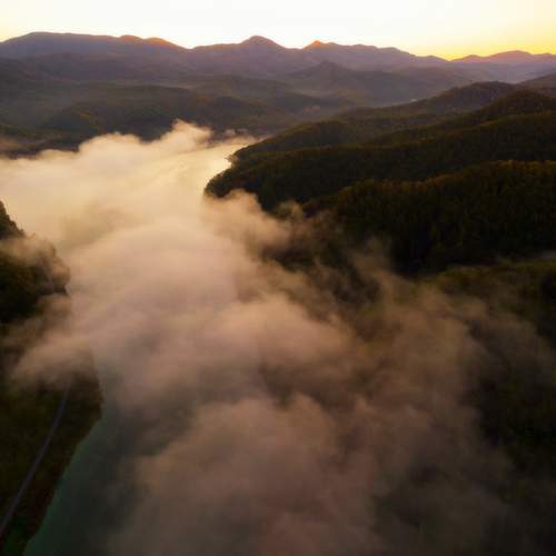 Photo #13511745