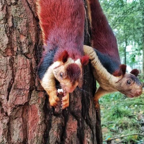 Photo #13511793