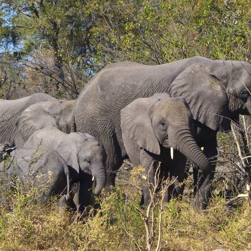 Photo #13511824