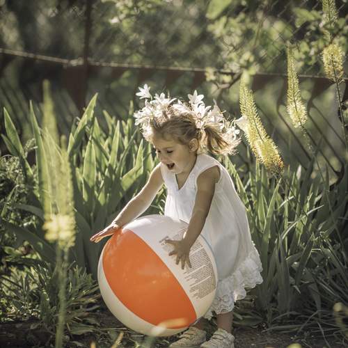 Photo #13511963