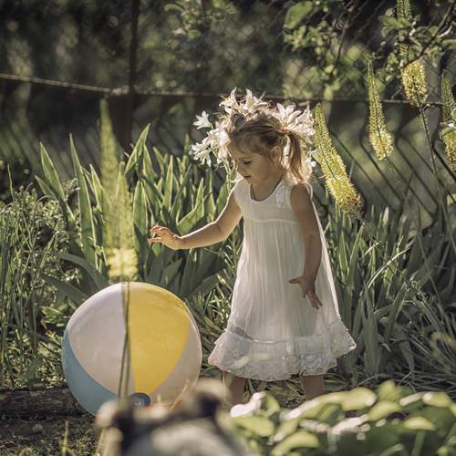 Photo #13511964