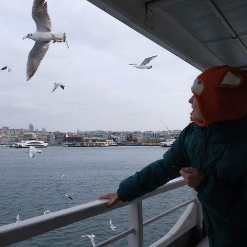 Photo #13511979