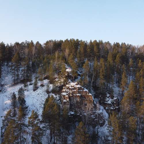 Photo #13512019