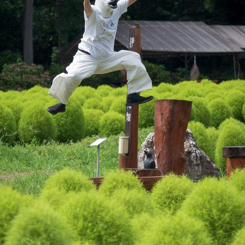 Photo #13512035