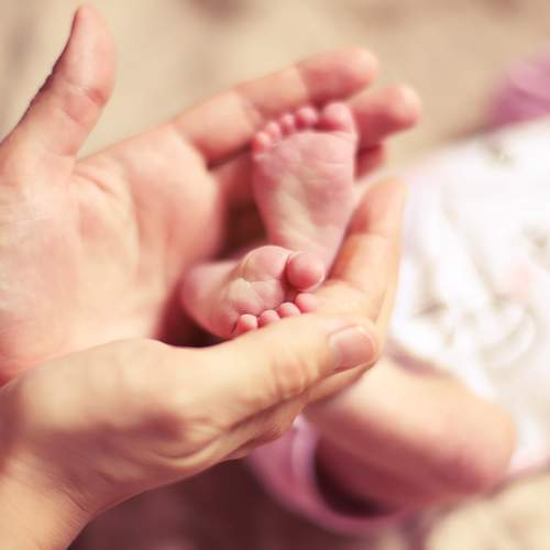 Photo #13512052