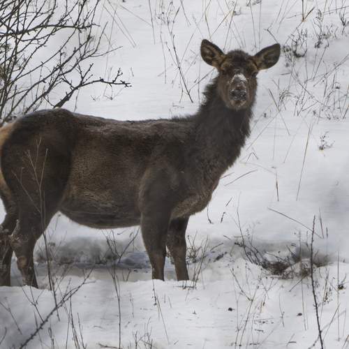 Photo #13512107
