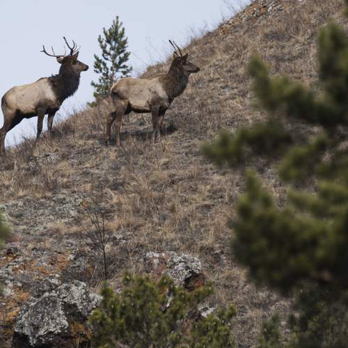 Photo #13512110