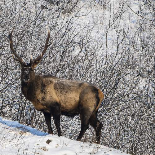 Photo #13512114