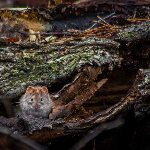 Photo #13512223