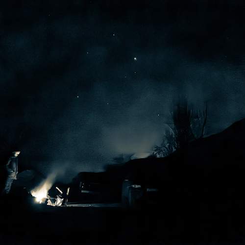 Photo #13512285