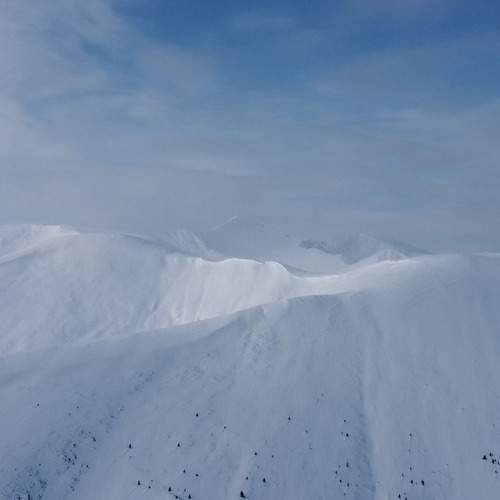 Photo #13512331