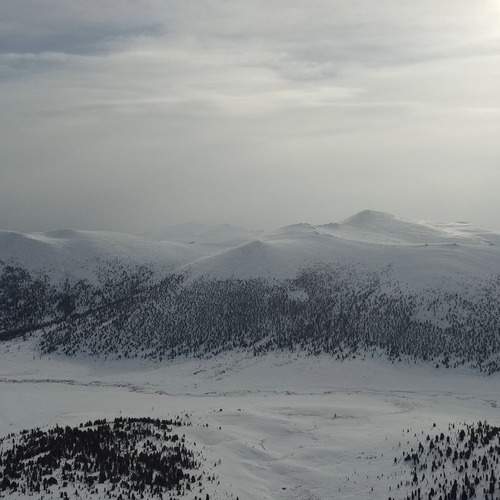 Photo #13512332