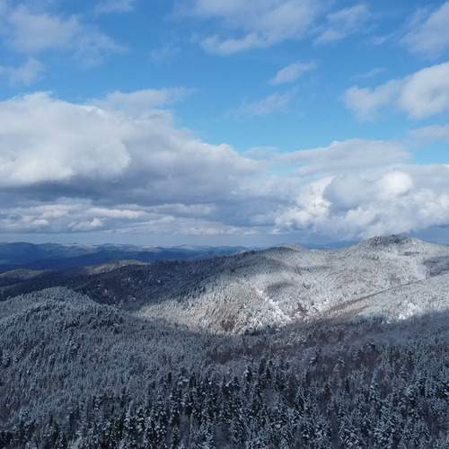 Photo #13512333