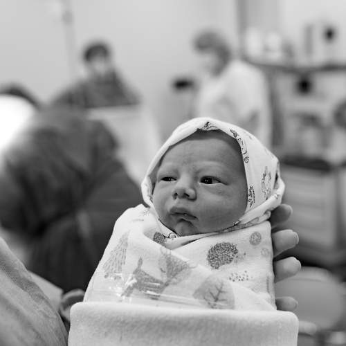 Photo #13512385