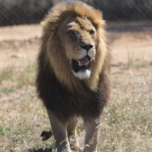 Photo #13512598