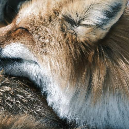 Photo #13512600
