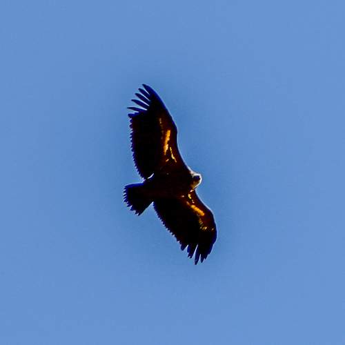 Photo #13512752