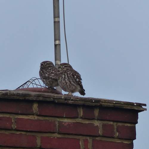 Photo #13512832