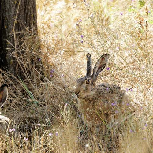 Photo #13512885
