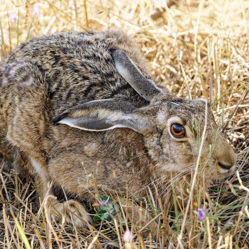 Photo #13512888