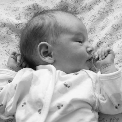 Photo #13512915