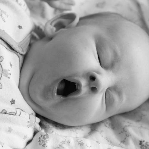 Photo #13512928