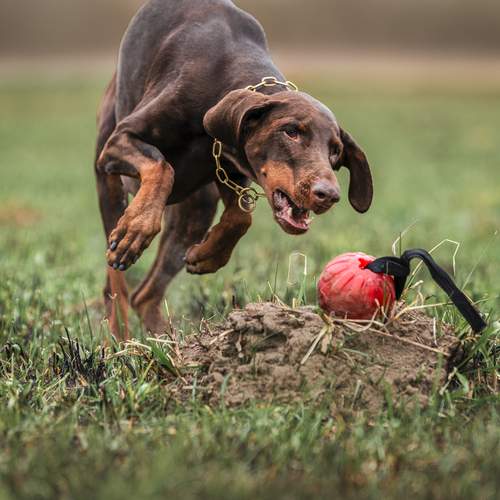 Photo #13512974