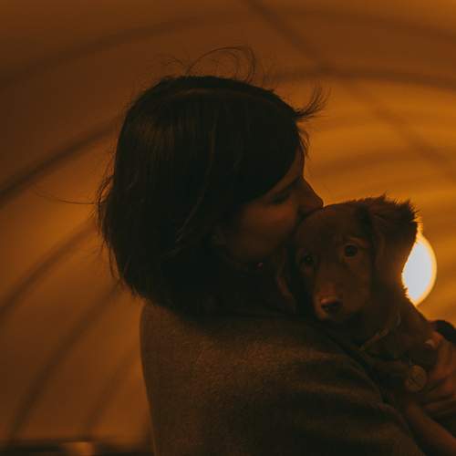 Photo #13513008
