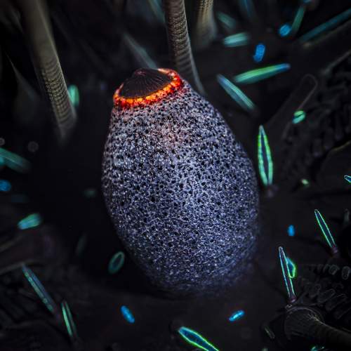 Photo #13513027