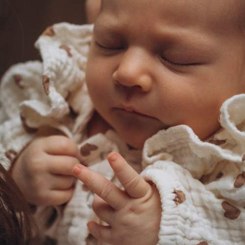 Photo #13513058