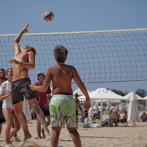 Photo #13513061