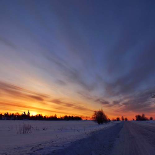 Photo #13513158