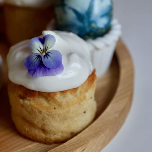 Photo #13513222